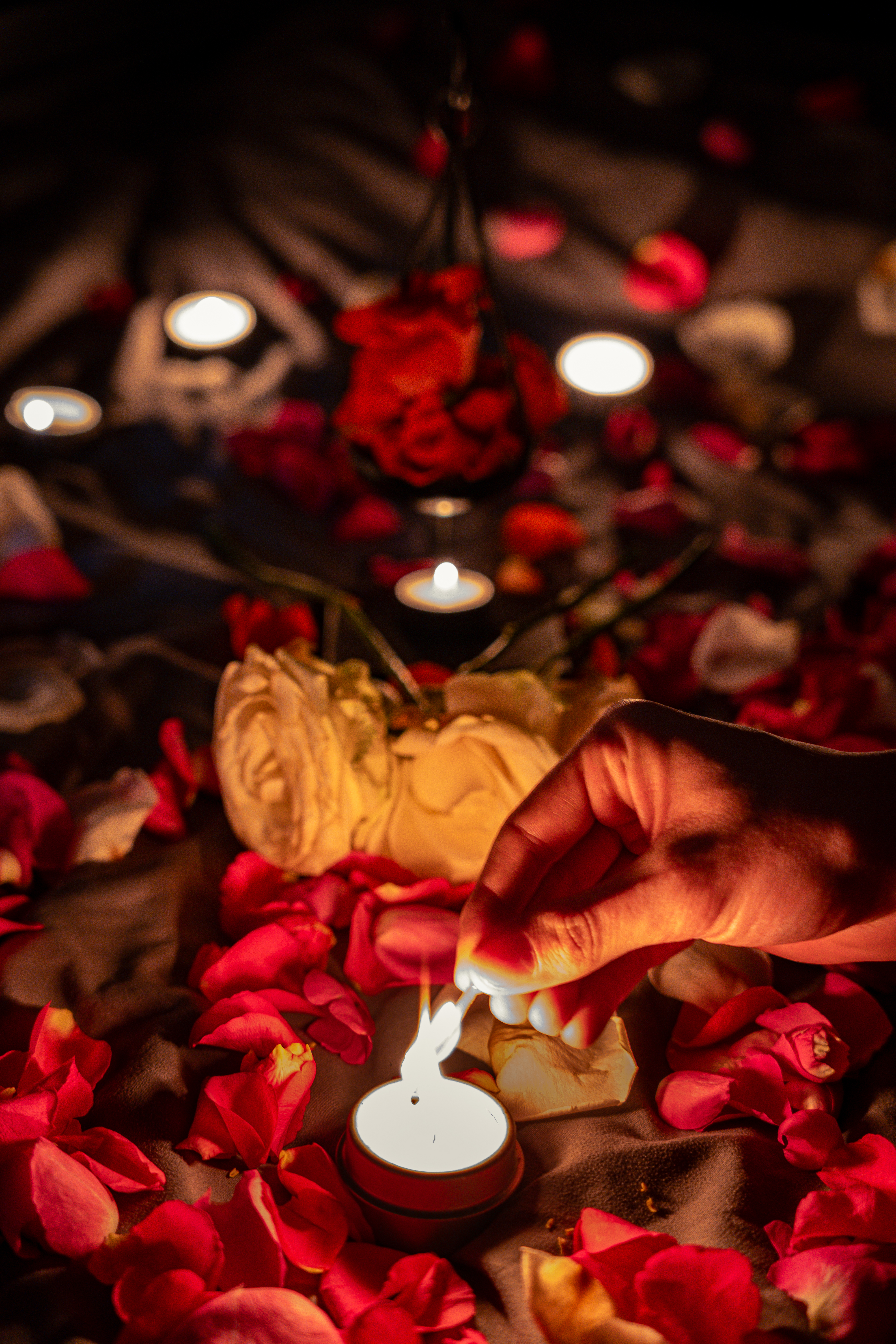 Bed of Roses foto 1
